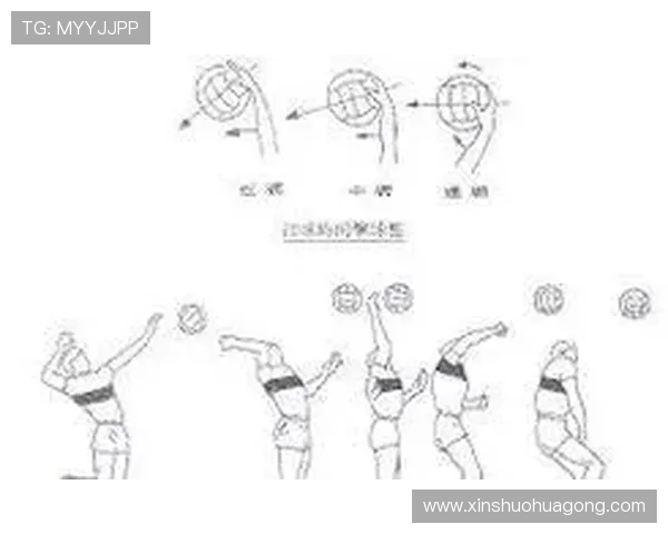 北京排球队的比赛经验分享与启示聚焦排球运动的成长与发展