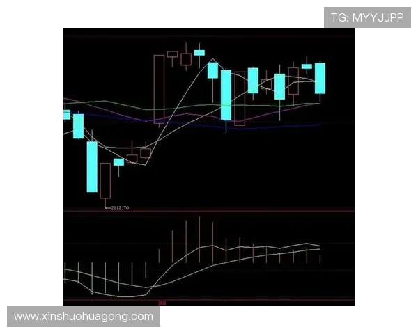 南京排球队防守策略深度分析与战术解读