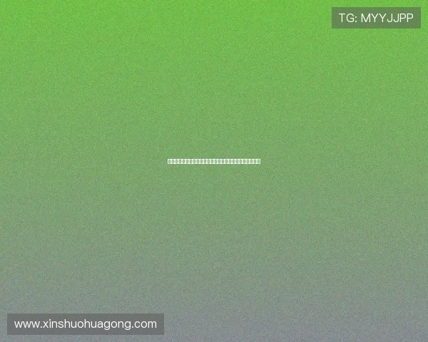 篮网对湖人小南斯表现出色引发球迷热议比赛精彩瞬间回顾